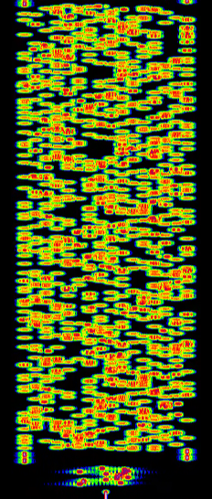 Waterfall display of Olivia 500/16 - CQ CQ CQ de K6OZY showing cotton puff pattern with 16 tones